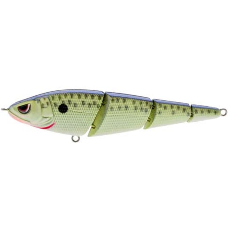 SPRO Sashimmy Swimmer 105 – 4.25 Inch Cell Mate