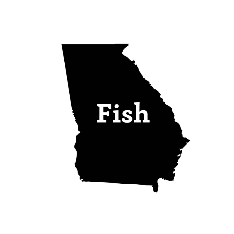 Fish Georgia Decal