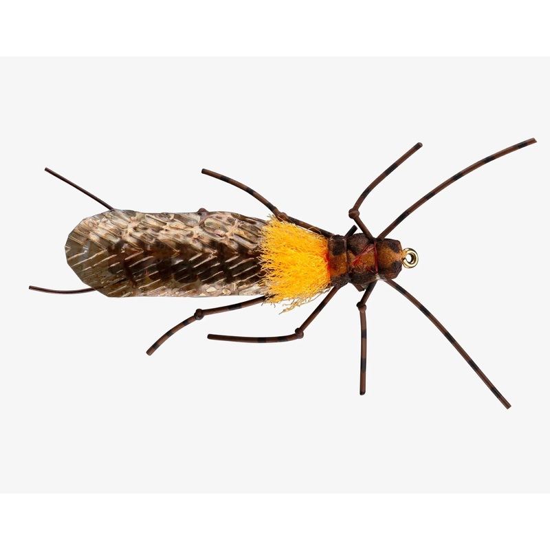 Rio’s Morrish Still Stone – Salmonfly / Golden #6 Salmon Fly