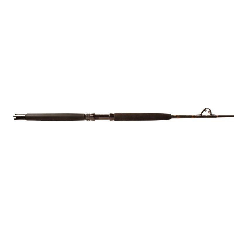 Star Rods Aerial Stand-Up Conventional Rods with Roller & Turbo Guides EXX3080RS (5’9” Medium Heavy)