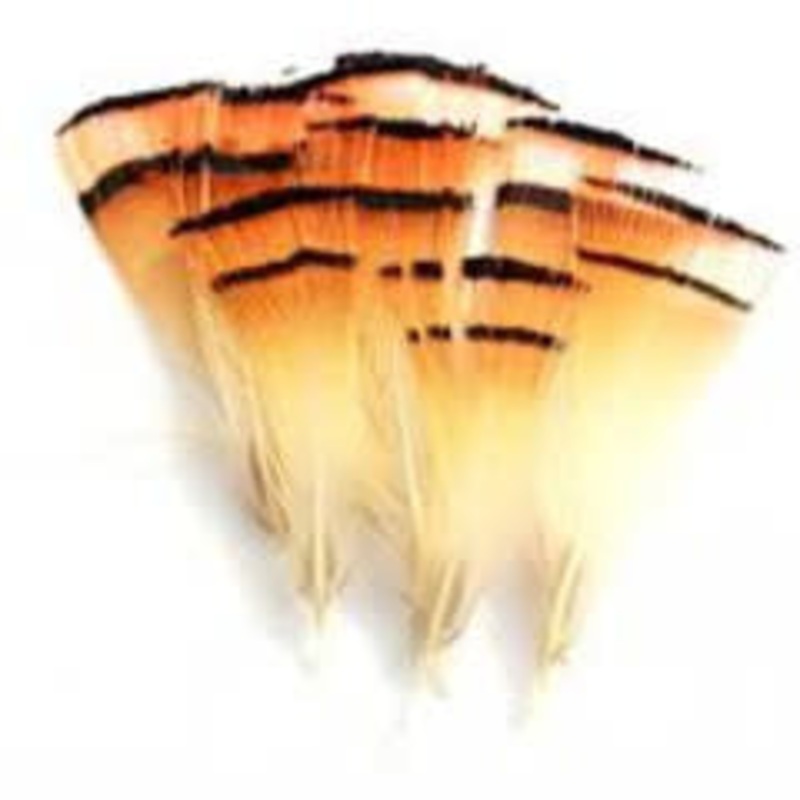 Golden Pheasant Tippets Small