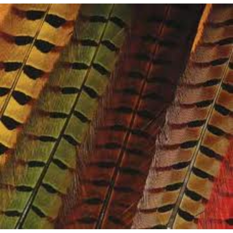 Hareline Ringneck Pheasant Tail Feathers Assorted Colors – Fly Tying Natural