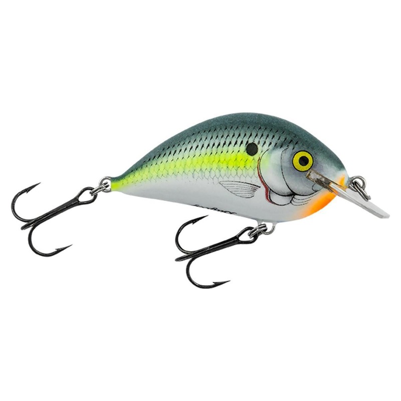 Bagley Pro Sunny B Blue Olive Shad