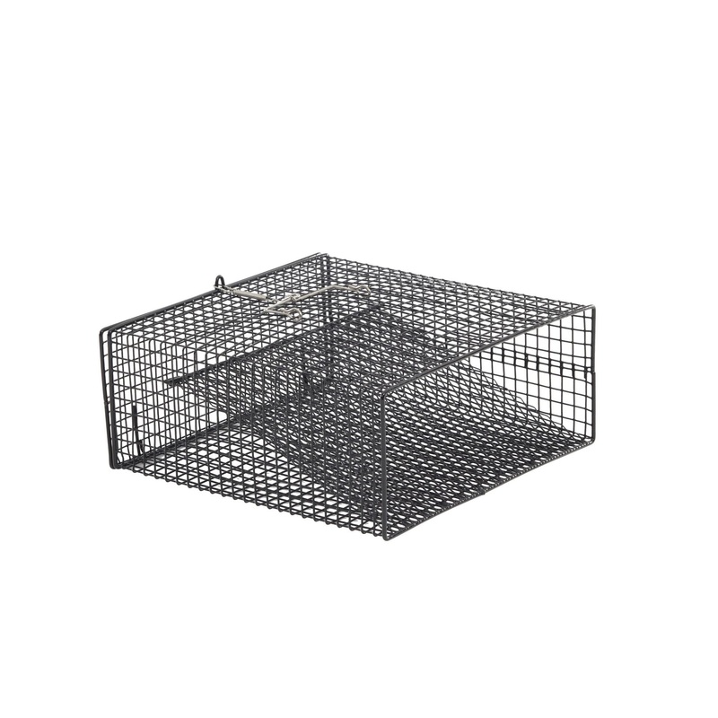 Frabill Flat Bottom Crawfish Trap