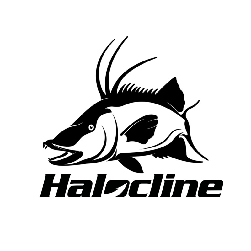 Hog Snapper Decal: Halocline