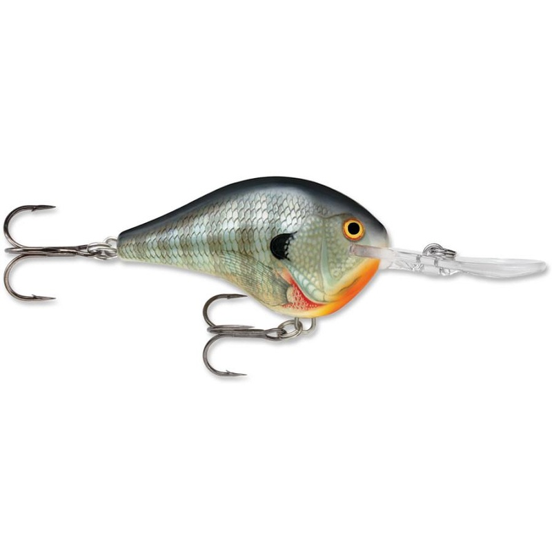 Rapala DT Series Crankbait DT14 Big Shad