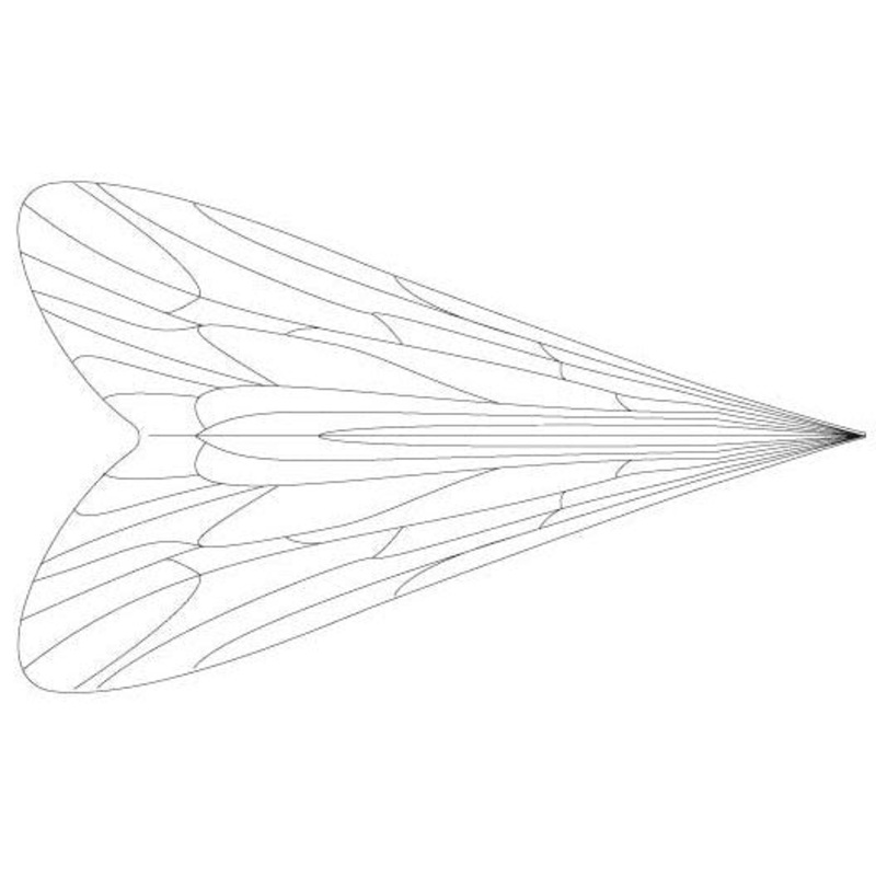 Pro Sportfisher Caddis Wing X-Small