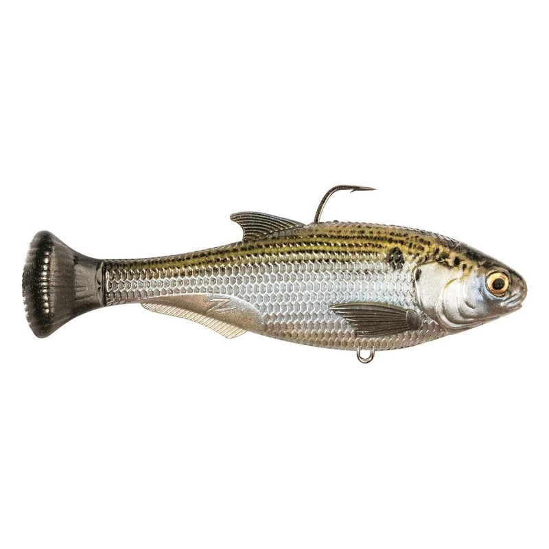Z-Man Shadtron Lt 6″ Fast Sink Mossback
