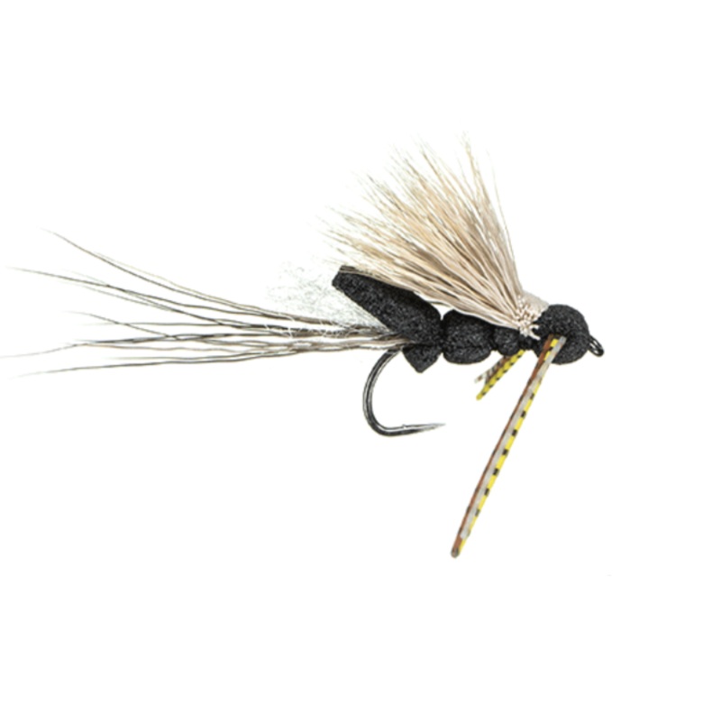 MFC Maddin’s May-B Black #4