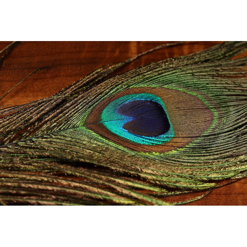 Hareline UV2 Peacock Eyes