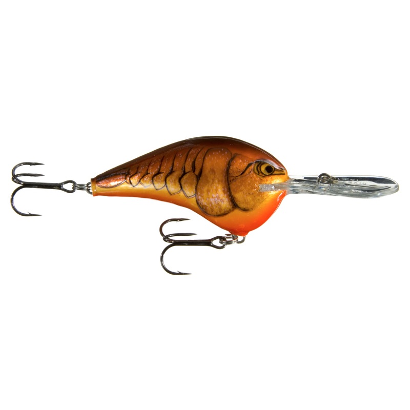 Rapala DT (Dives-To) Series Crankbait Live River Shad 2″ / Running Depth: 6′