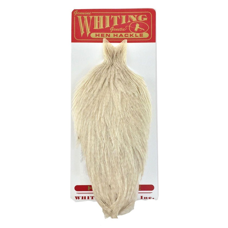 Whiting Farms Hen Cape White