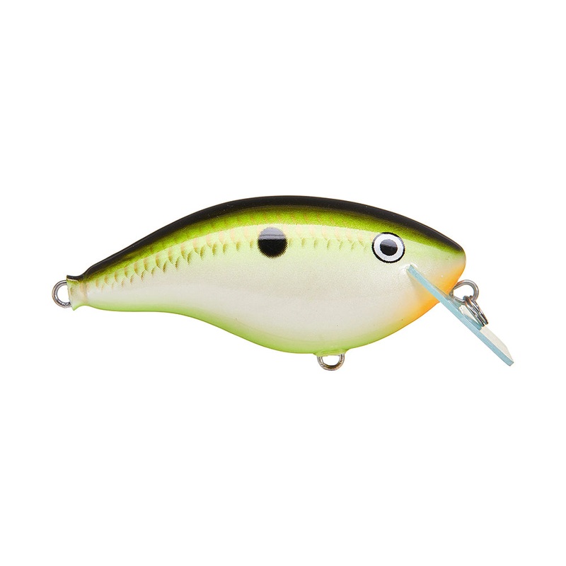 Rapala OG Big Rocco 6 Crankbait 2.75″ – 5/8oz. – 6′ Bream