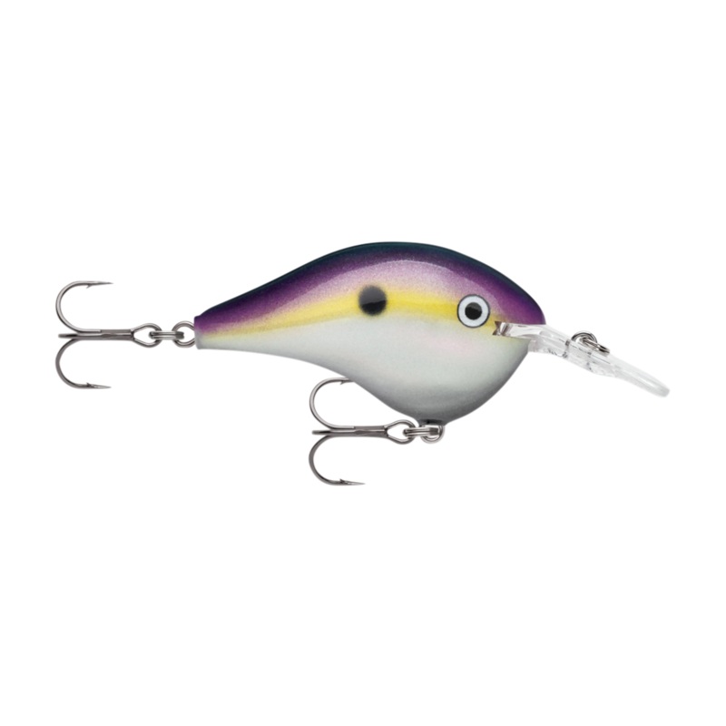 Rapala DT (Dives-To) Series Crankbaits Big Shad DT10