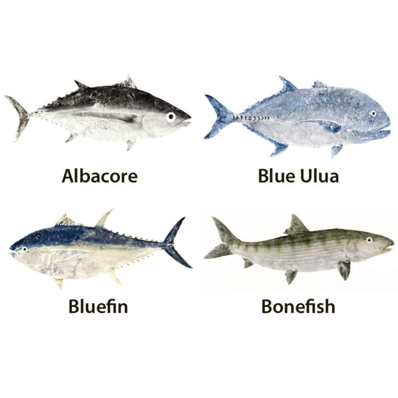 Mud Hole Japanese Gyotaku Fish Art Decals by Marshall Madruga Albacore Tuna