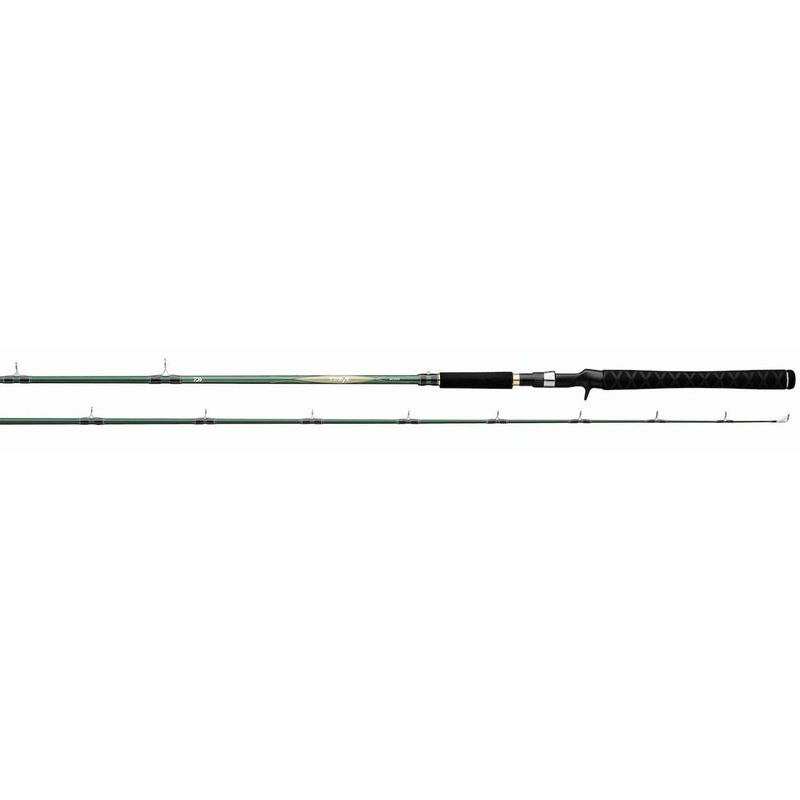 Daiwa TD Eye Series Trolling/Casting Rods TDEYE76TMFB